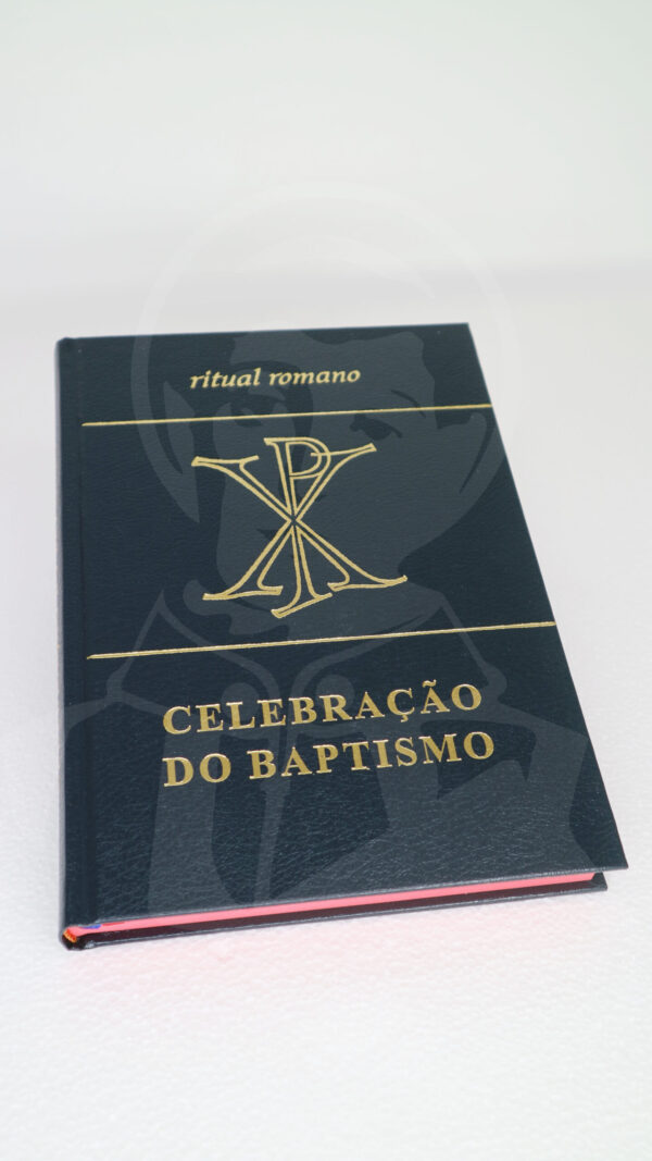 Unção e Pastoral dos Doentes - Image 2
