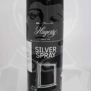 Spray Limpa Prata/Casquinha