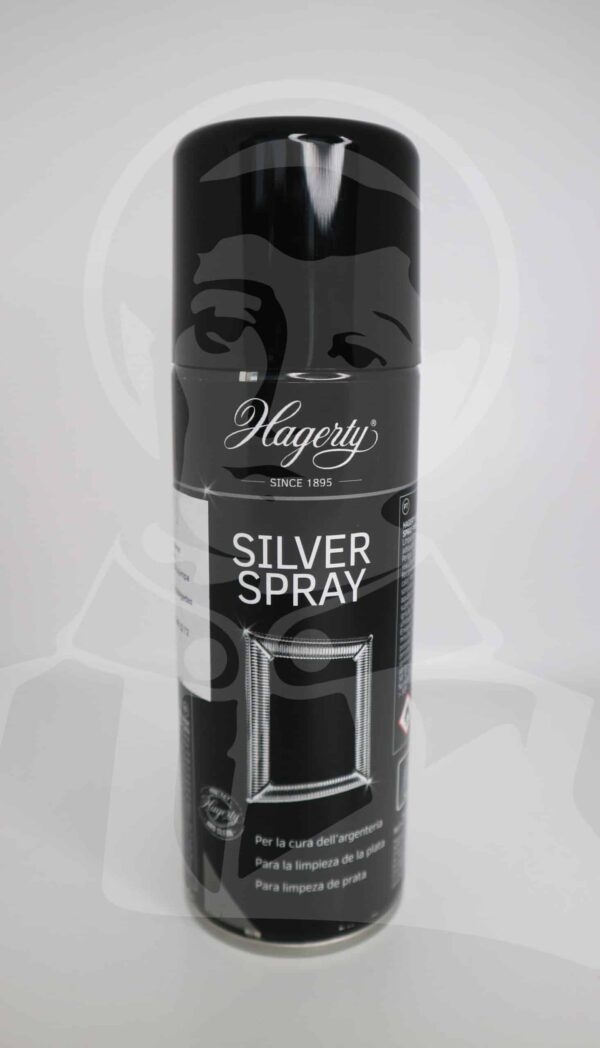 Spray Limpa Prata/Casquinha
