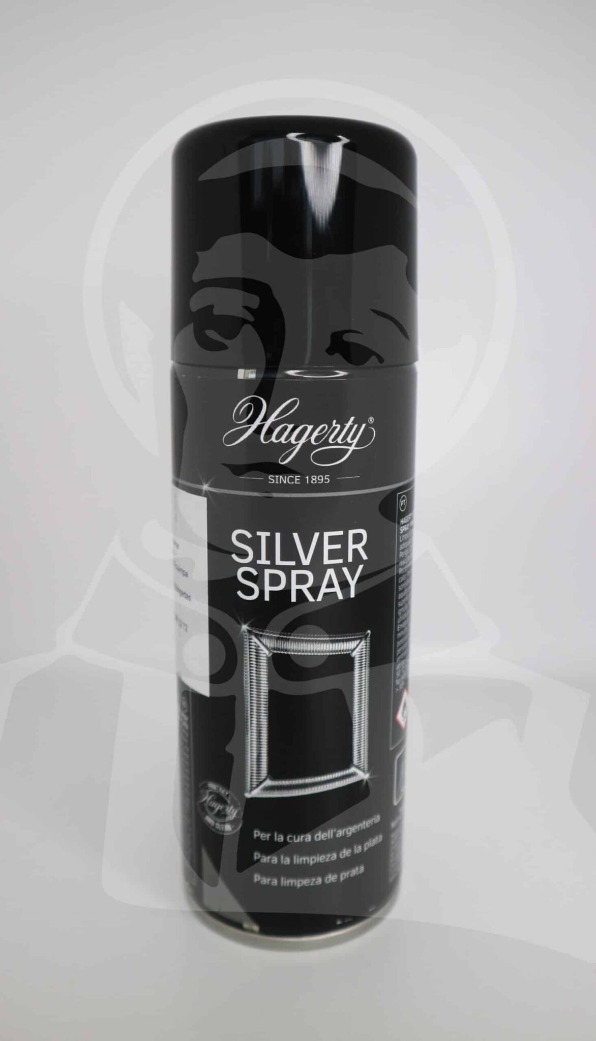 Spray Limpa Prata/Casquinha